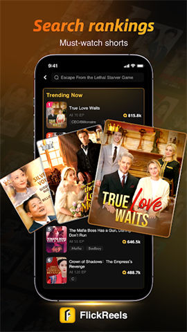 screen